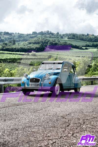 Foto Altopiano del Brentonico 26 lug 2025 09:41