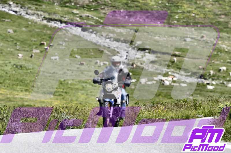 Foto Colle dell'Agnello 13 lug 2024 10:30