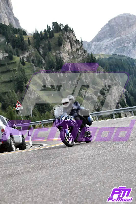 Passo Gardena