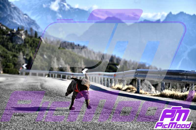 Foto Passo Giau 1 mag 2025 08:12