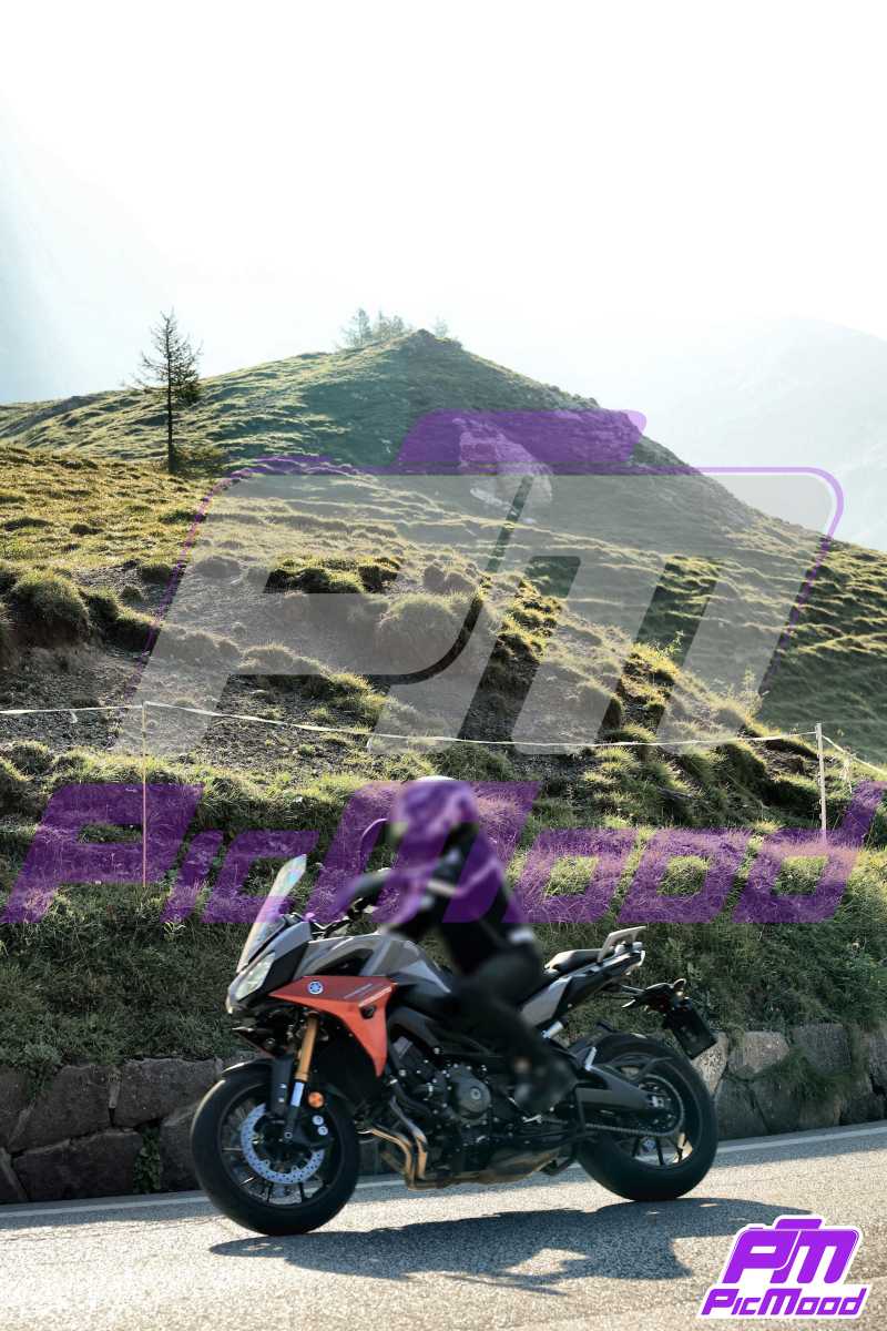 Foto Passo Rolle 24 ago 2024 09:11