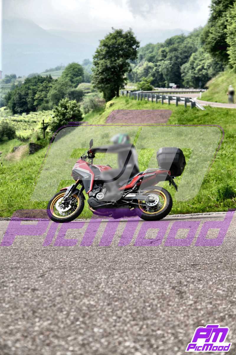 Foto Altopiano di Brentonico 8 giu 2024 10:26