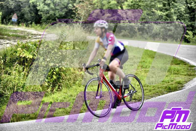 Foto Monferrato 15 giu 2024 10:04