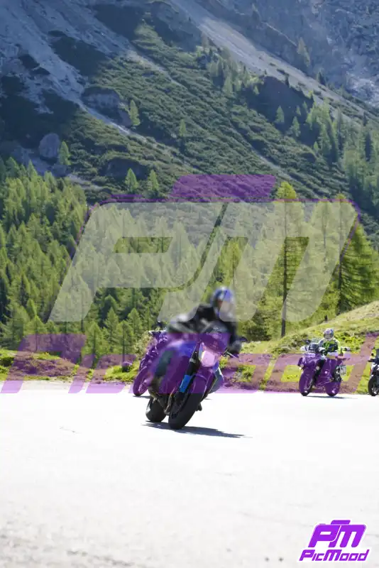 Foto Passo Rolle 24 mag 2026 09:24