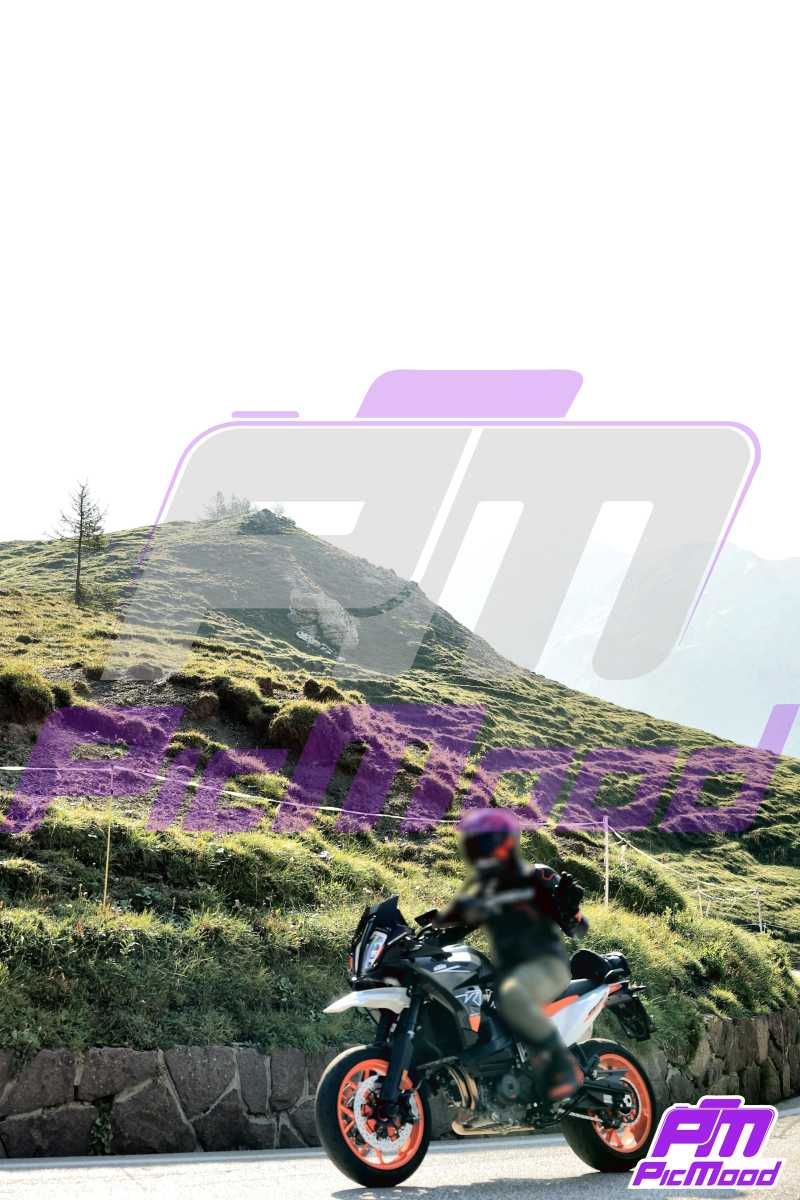 Foto Passo Rolle 24 ago 2024 09:31