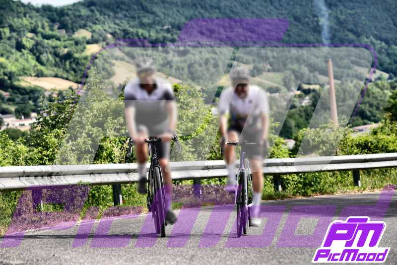 Foto Vernasca 16 giu 2024 09:16