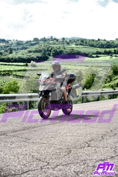 Foto Altopiano del Brentonico 26 lug 2025 10:39