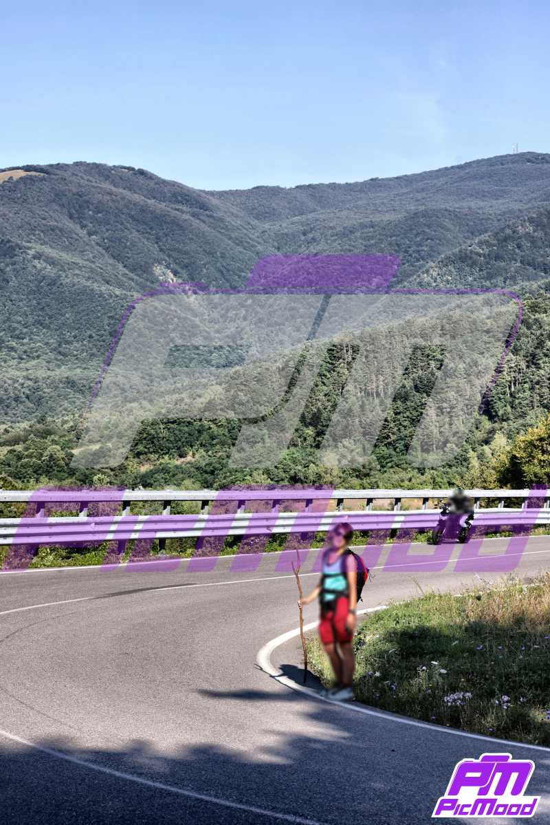 Foto Passo della Cisa versante Toscana 4 ago 2024 09:23
