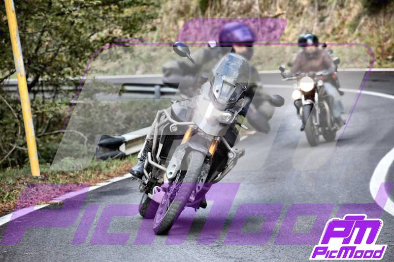 Foto Passo del Muraglione 28 set 2024 09:57