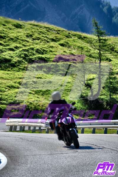 Foto Passo Rolle 19 lug 2025 09:44