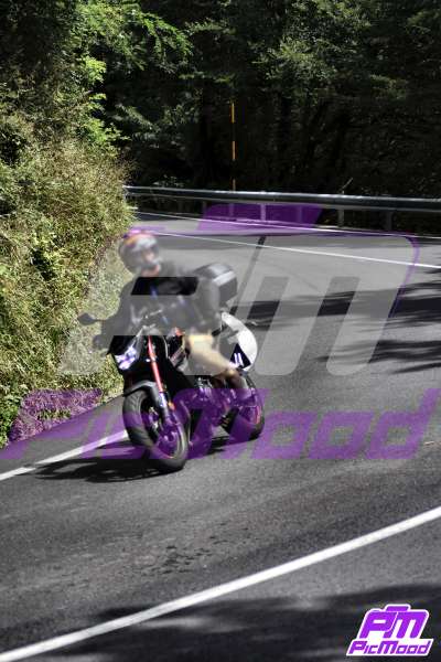 Foto Passo del Turchino 27 lug 2025 12:48