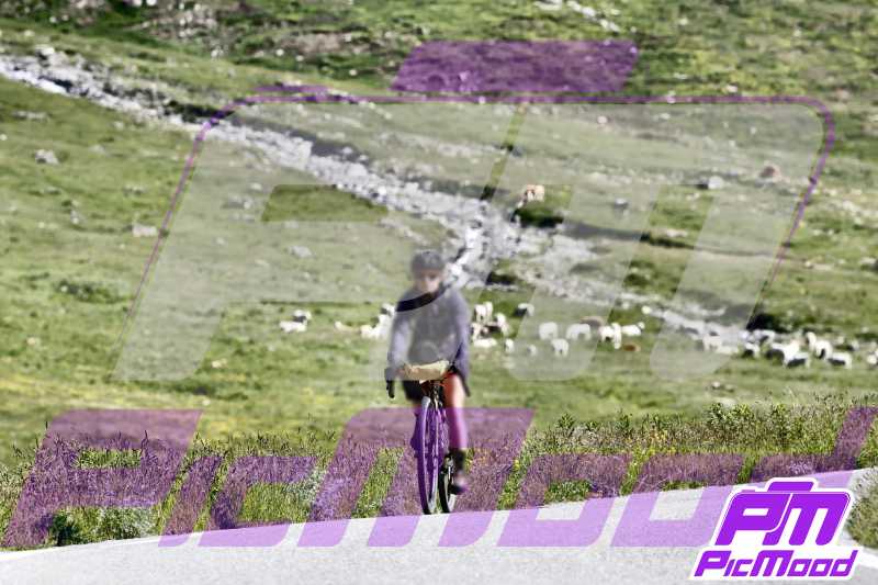 Foto Colle dell'Agnello 13 lug 2024 09:53