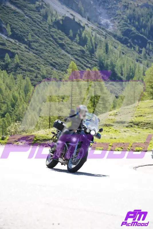Foto Passo Rolle 24 mag 2026 09:24
