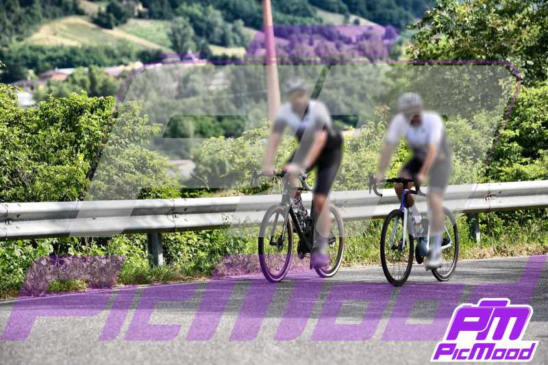 Foto Vernasca 16 giu 2024 09:16
