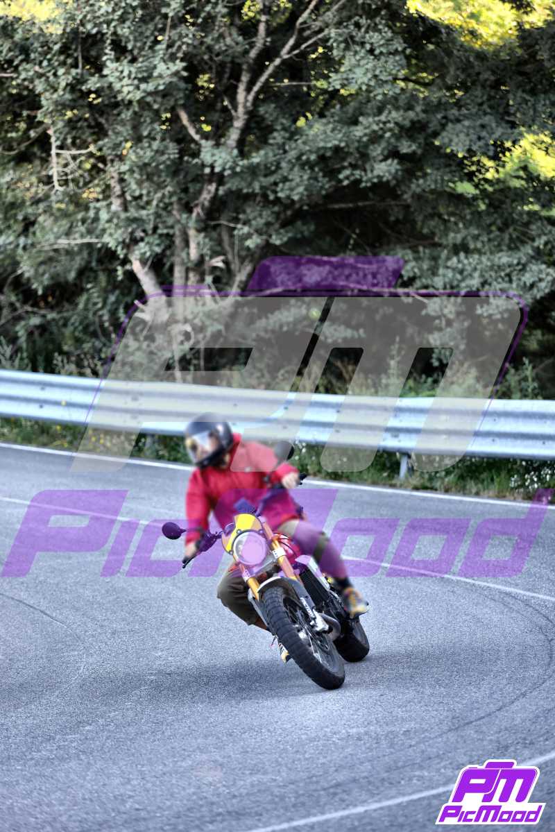 Foto Passo della Cisa versante Toscana 10 ago 2024 09:03