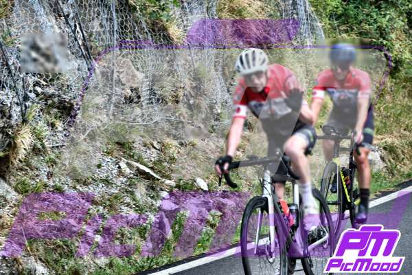 Foto Passo del Muraglione 26 lug 2025 10:12