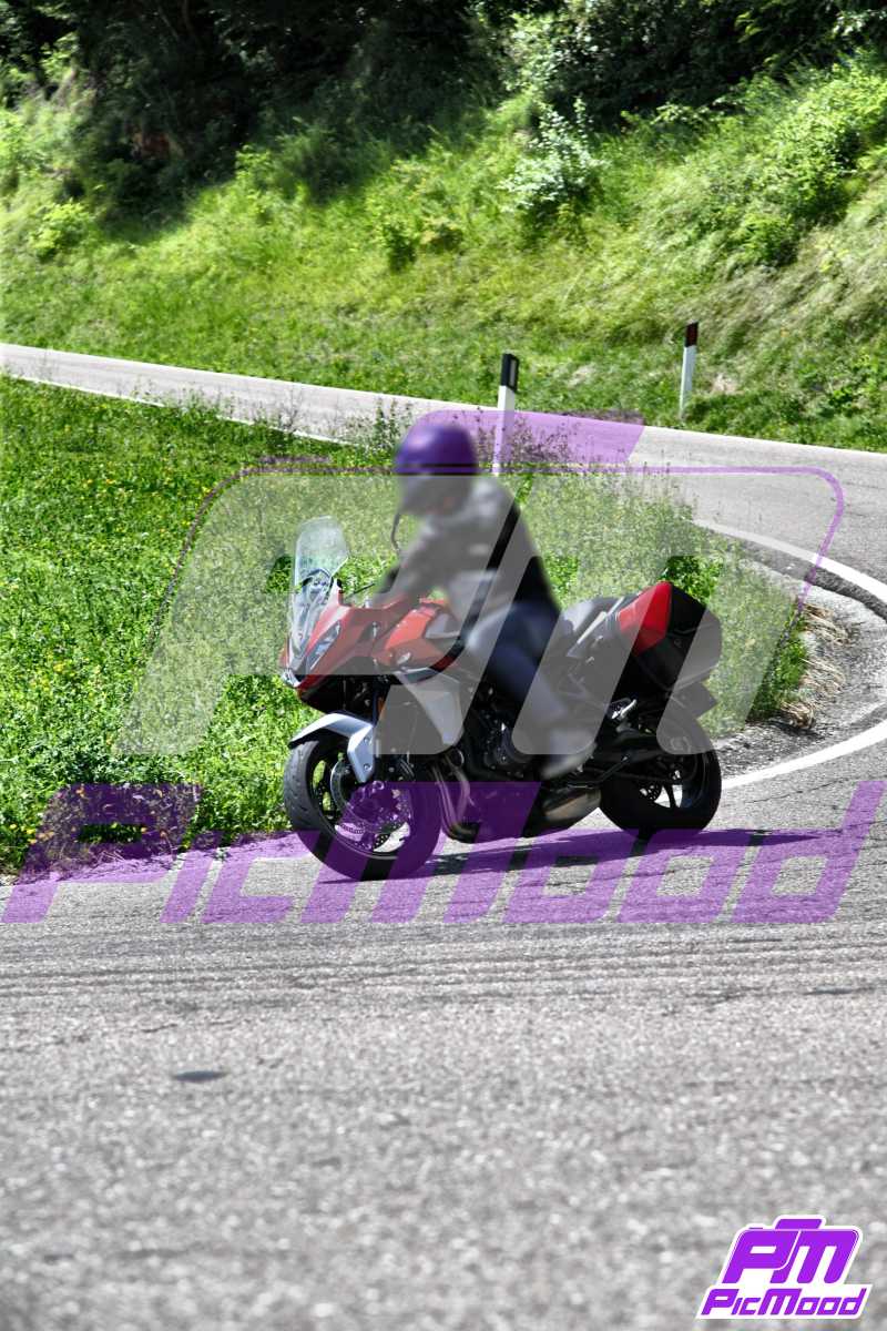 Foto Altopiano del Brentonico 22 giu 2024 10:22